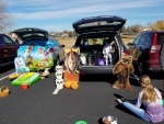 View the album Trunk or Treat